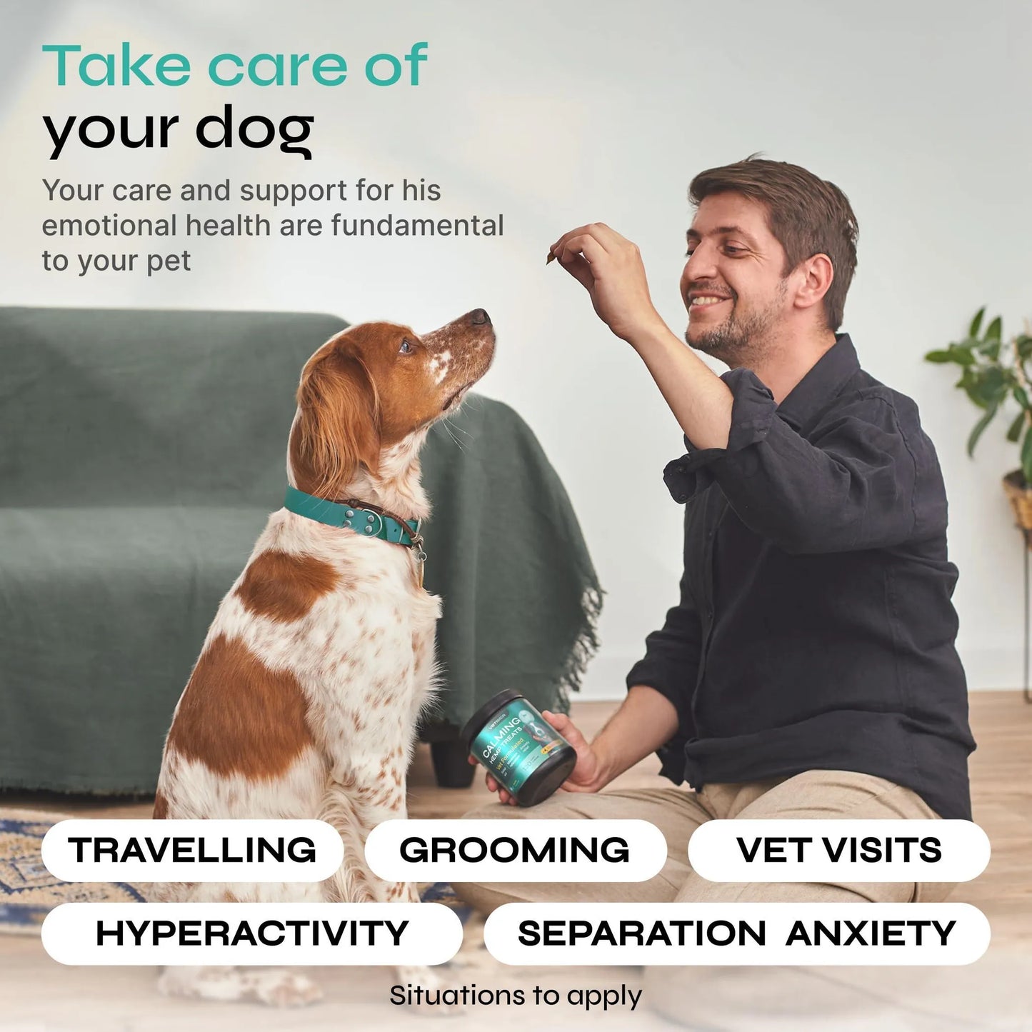 Hemp Calming Chews for Dog Anxiety Relief