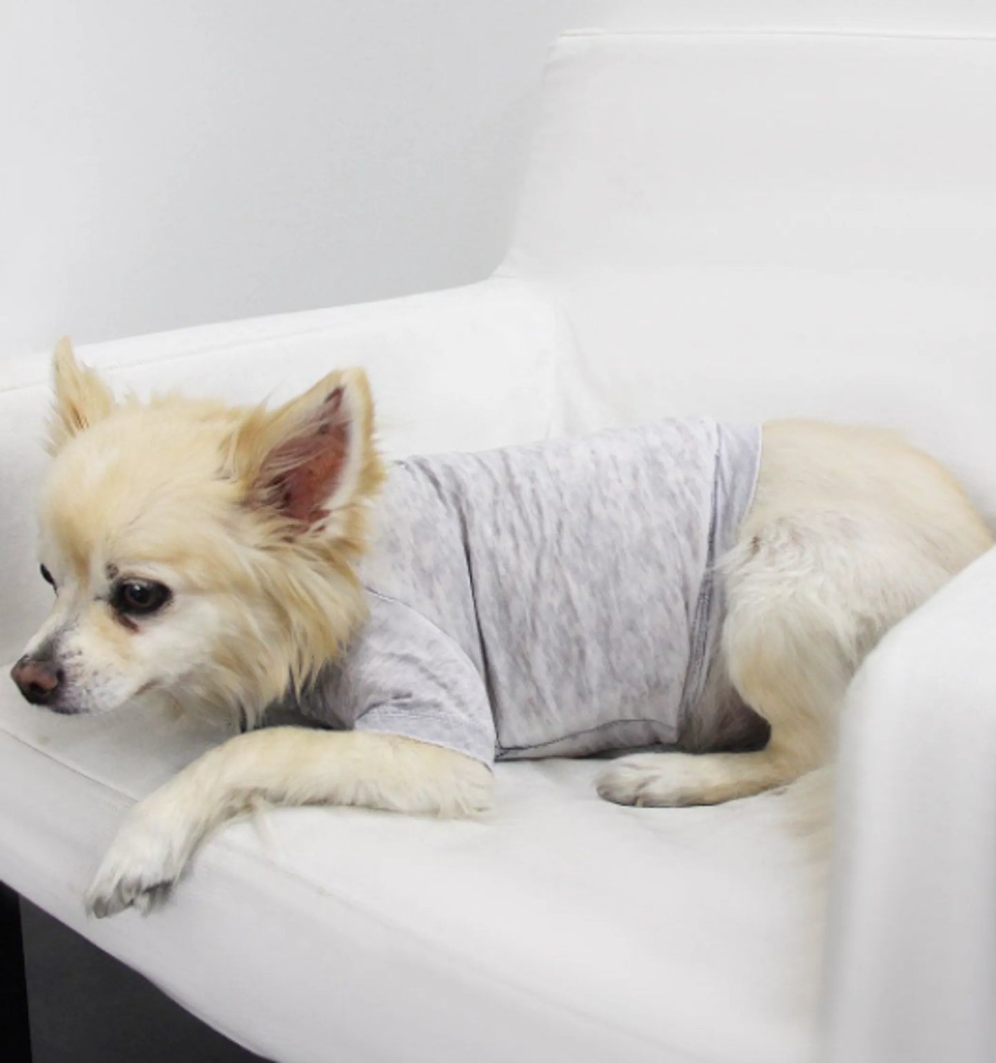 Pet Tee for dogs and cats