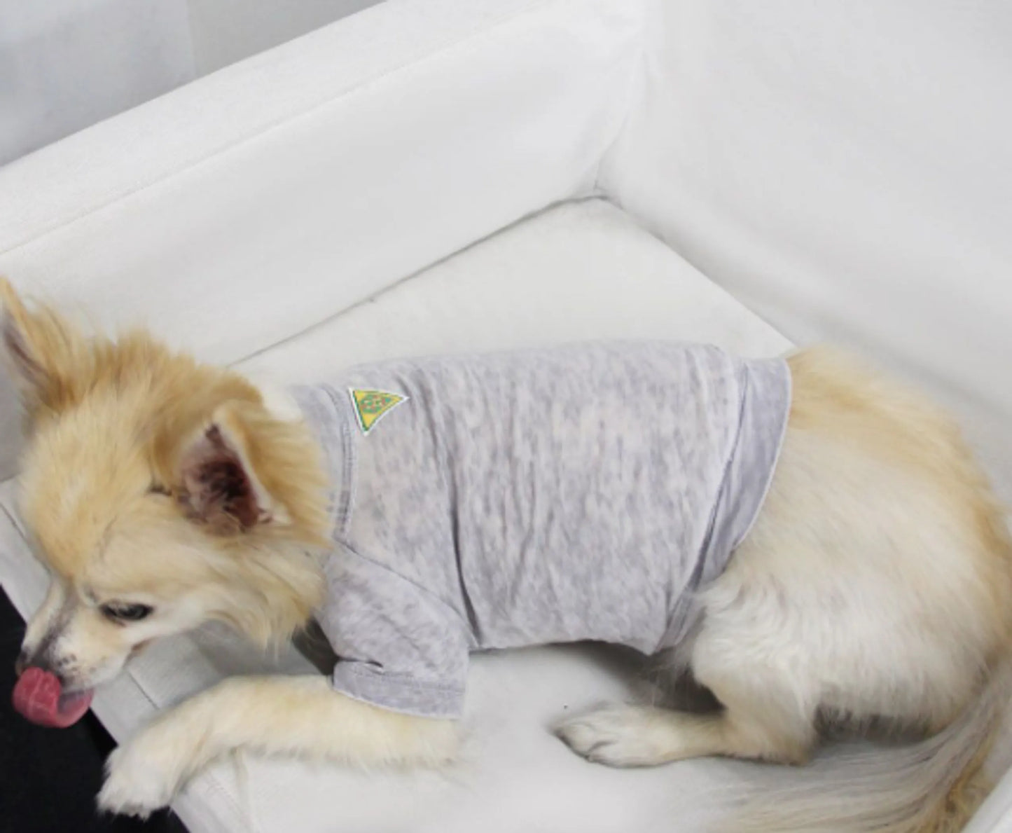 Pet Tee for dogs and cats