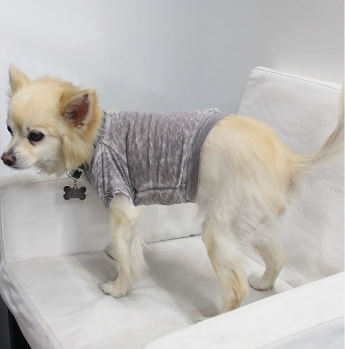 Pet Tee for dogs and cats