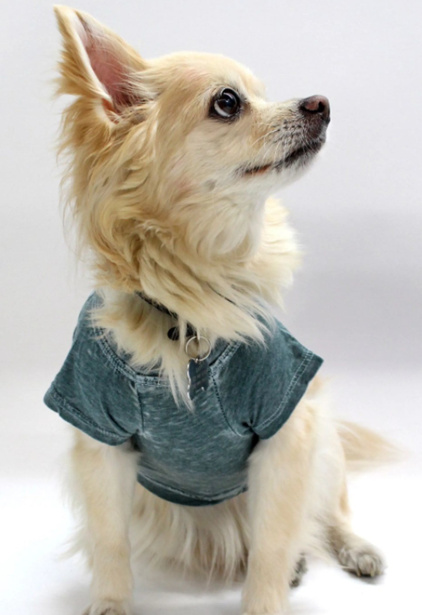 Pet Tee for dogs and cats