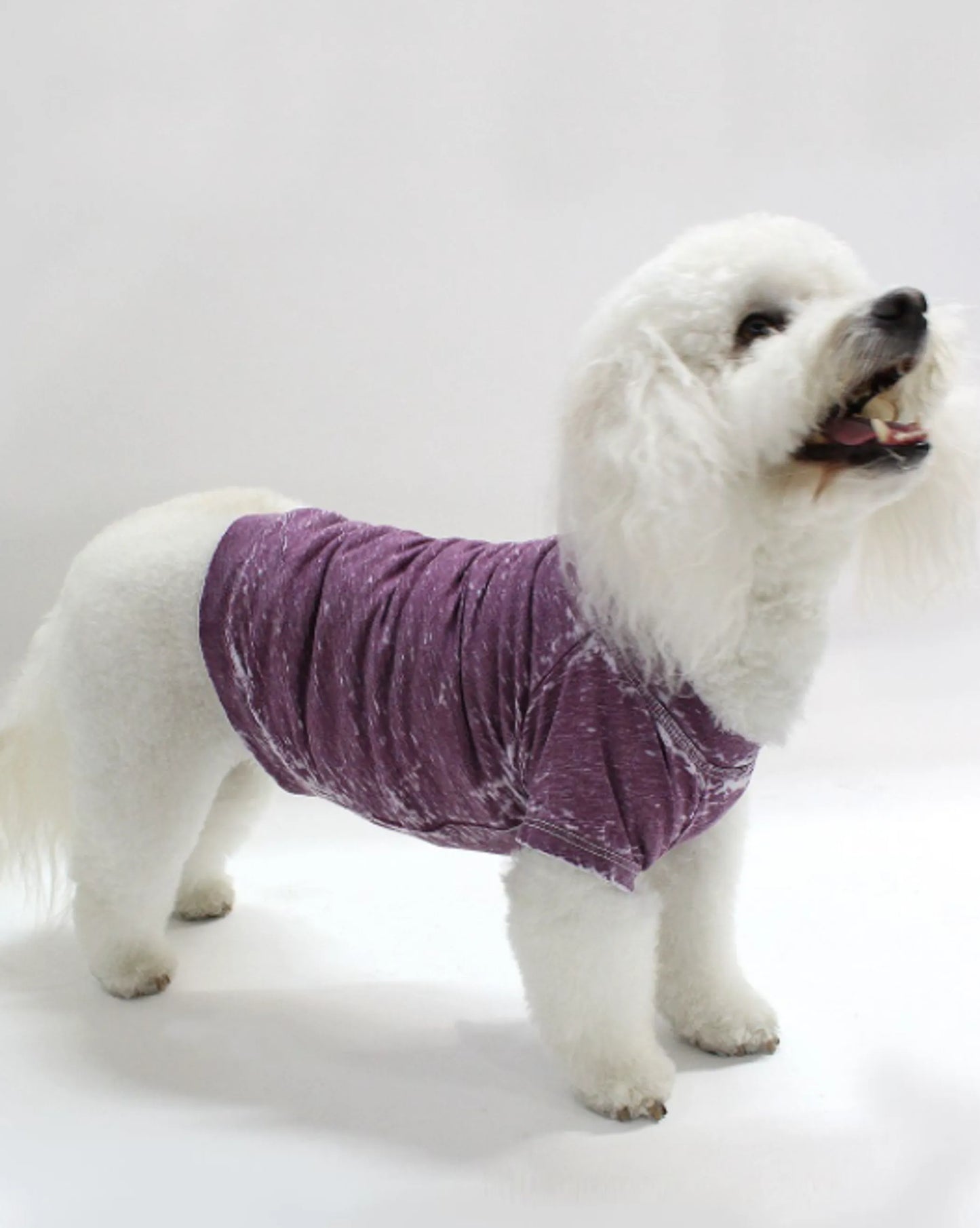 Pet Tee for dogs and cats