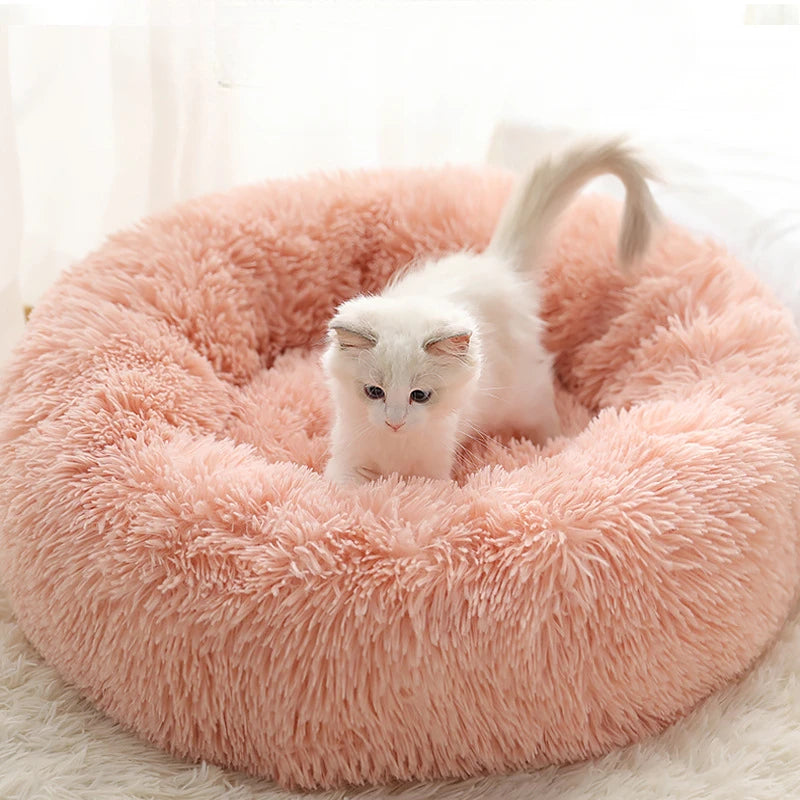 Pet Bed