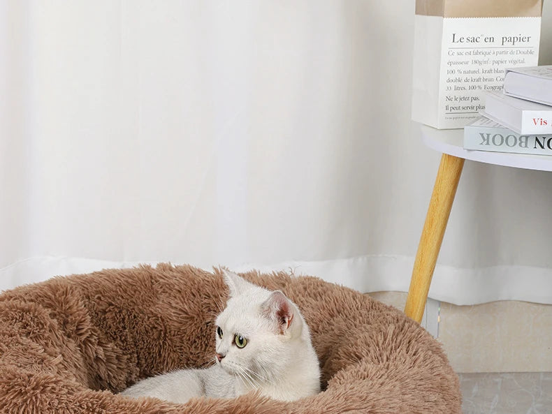 Pet Bed