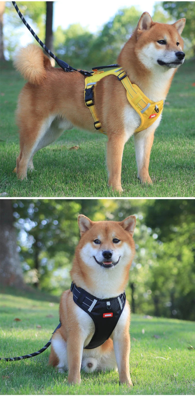 Pet Dog Harness