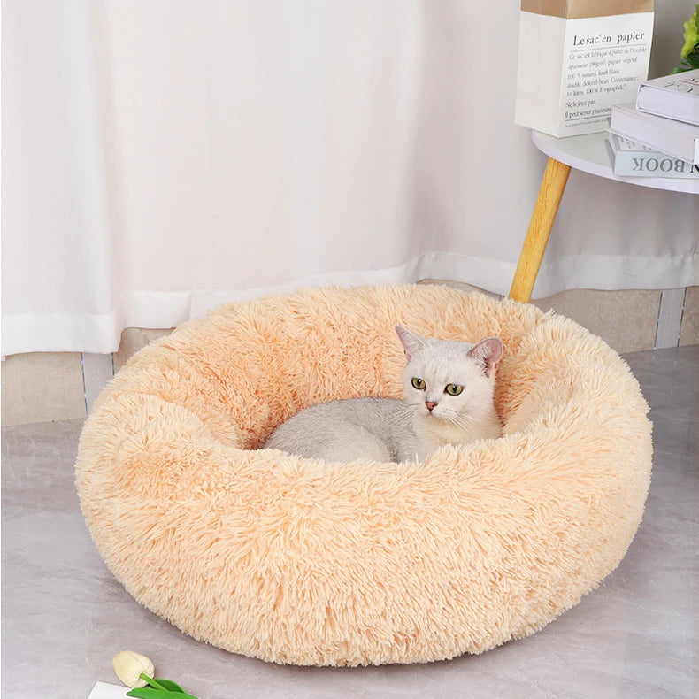 Pet Bed