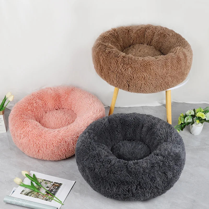 Pet Bed