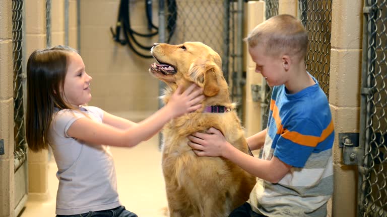 🐾 Monday Matters: The Hidden Heroes of Animal Rescue