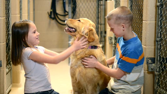 🐾 Monday Matters: The Hidden Heroes of Animal Rescue