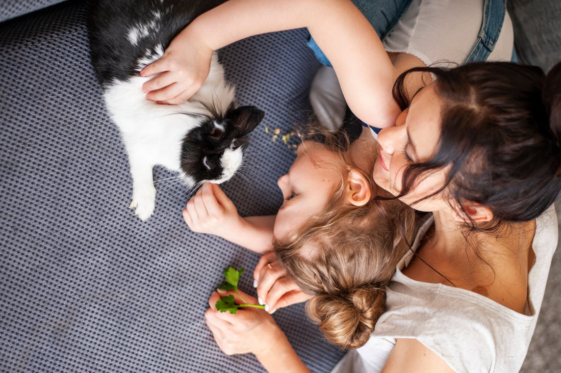 When Love Isn’t Enough: The Heartbreak of Pet Surrender and How to Help