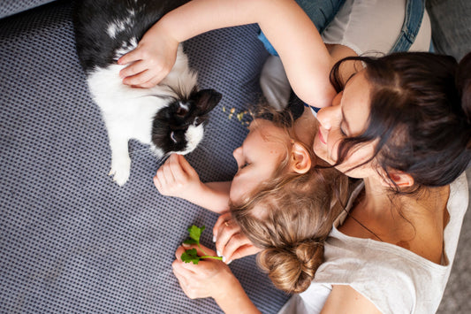 When Love Isn’t Enough: The Heartbreak of Pet Surrender and How to Help