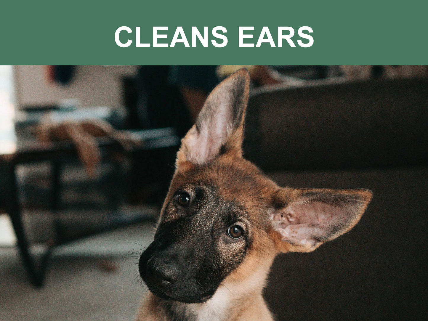 Mr. Peanut's Naturals Pet Wipes