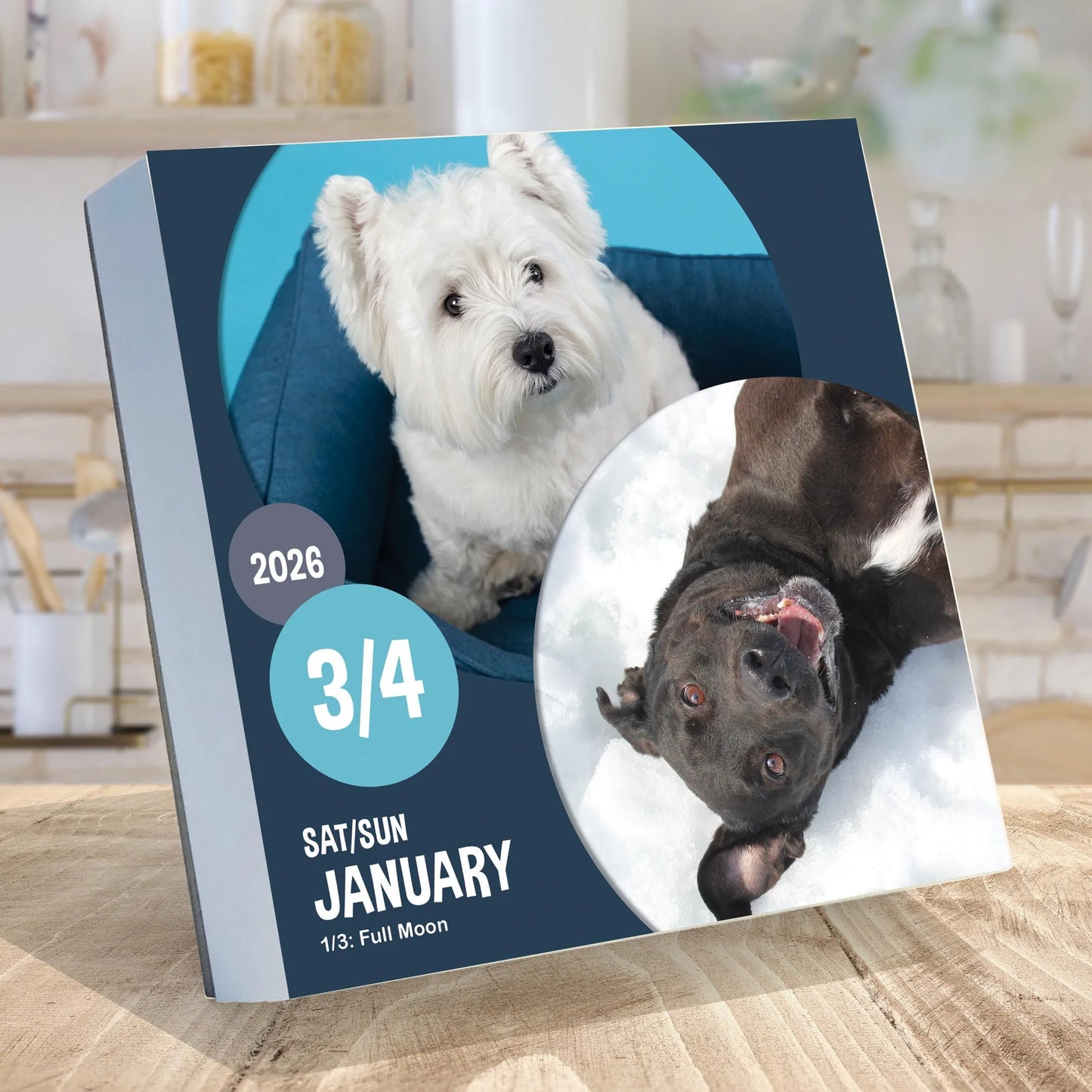 2026 Dog A Day Daily Desktop Calendar