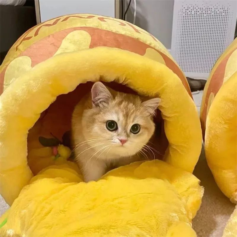 Pet Bed