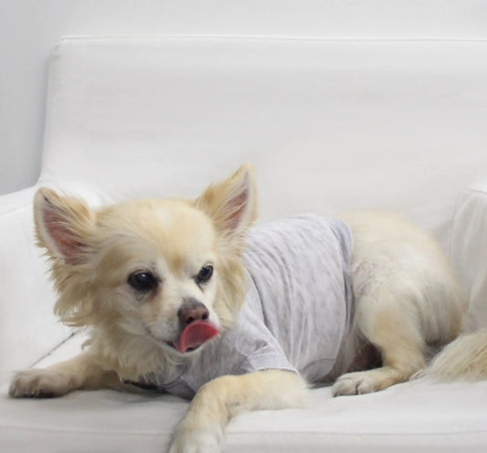 Pet Tee for dogs and cats