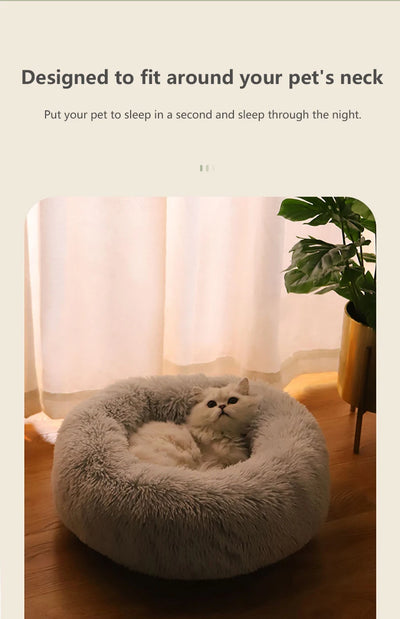 Cat/Dog Bed