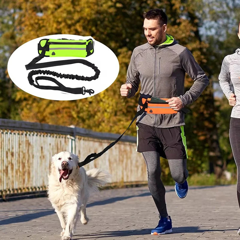 Hands Free Dog Leash