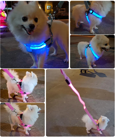 Adjustable LED Dog Harness No Pull Small Medium Glowing Nylon Breast-Band Night Safety Arnes Perro Dropship Pets Dog Accessories