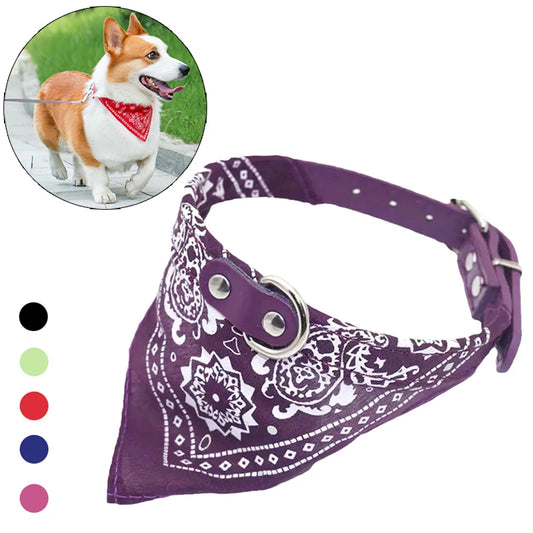 Cat Dog Collar with Scarf