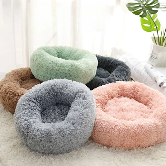 Pet Bed