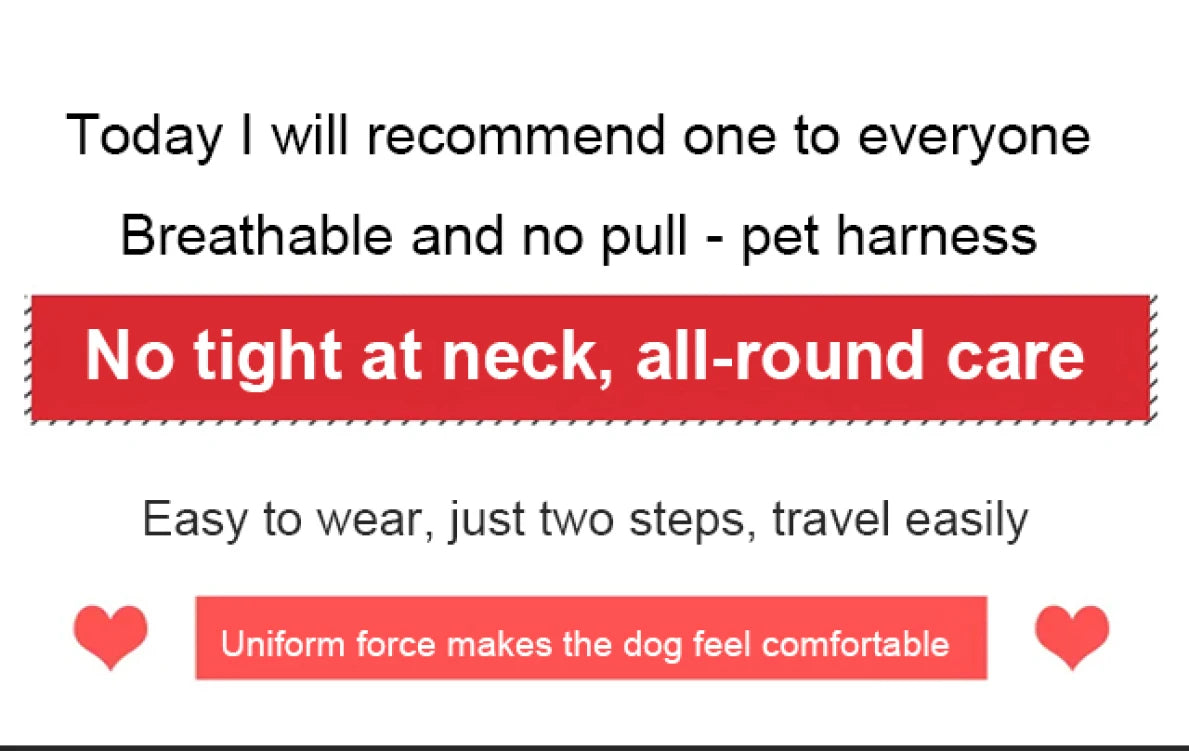 Pet Dog Harness Reflective Adjustable Breathable Vest Chest Strap for Small Medium Large Dogs Cat Puppy Collar Dog Accessoires