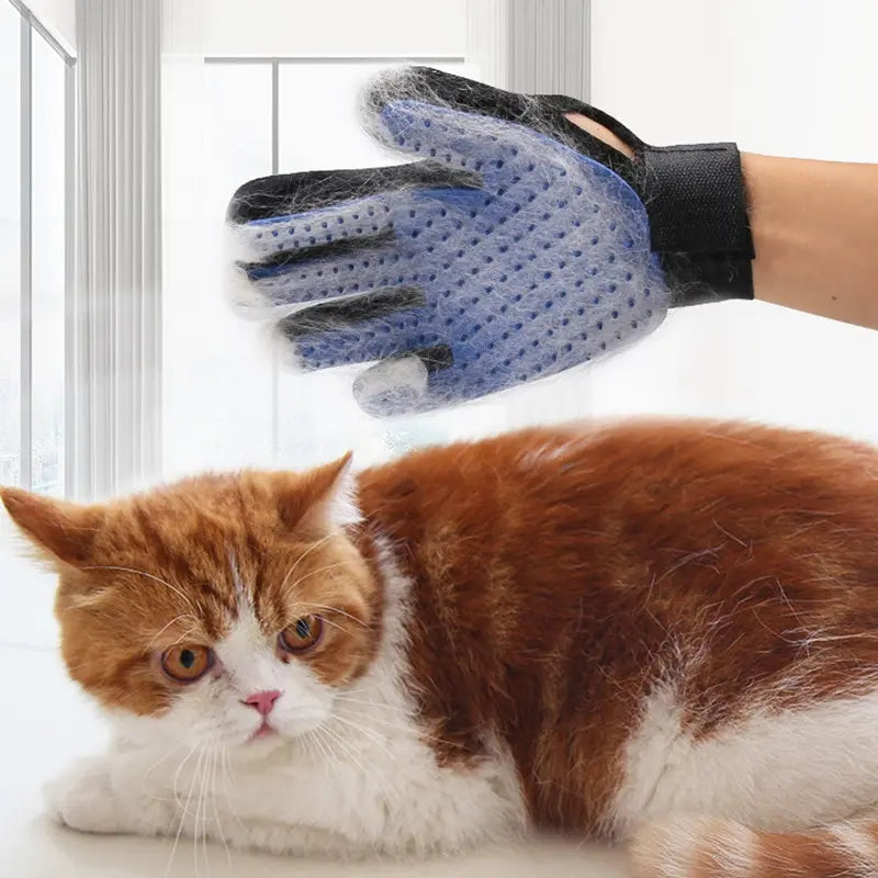 Hair Removal Pet Glove