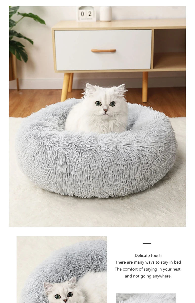 Cat/Dog Bed