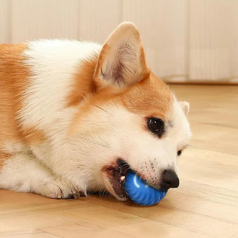 Interactive Toy Ball