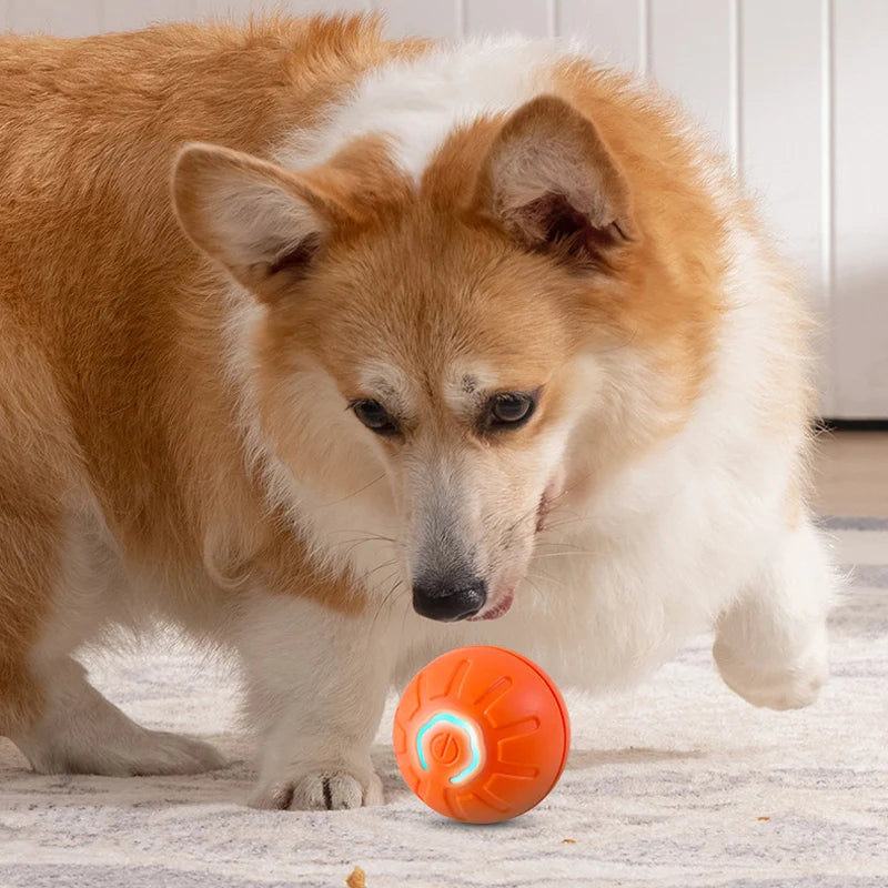 Interactive Toy Ball