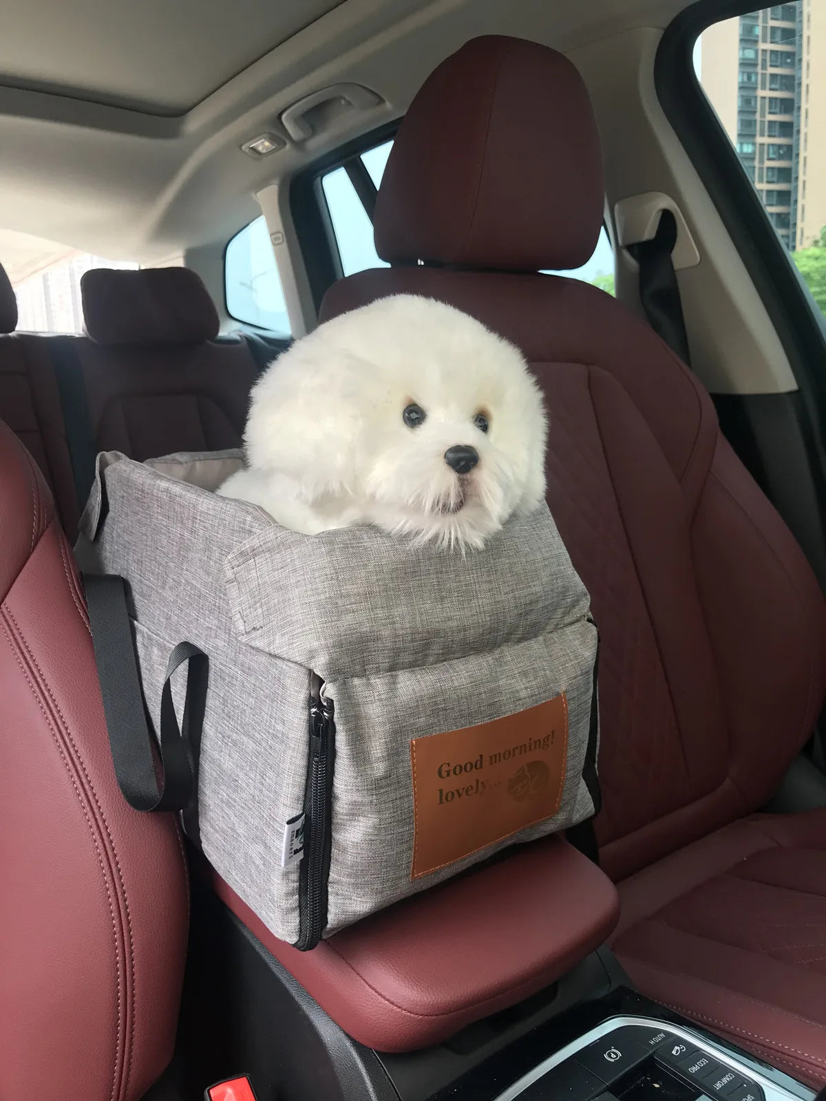 Portable Pet Carrier