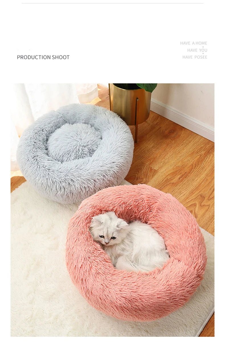 Cat/Dog Bed