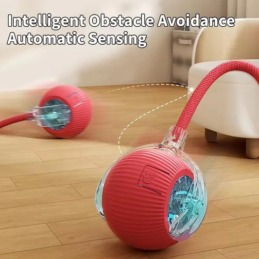 Electric Ball Toy