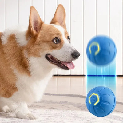 Interactive Toy Ball