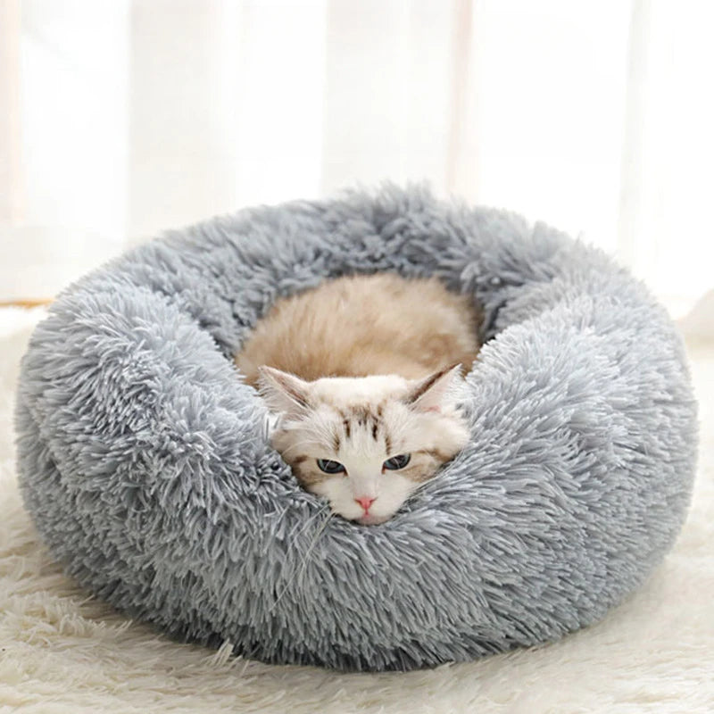 Pet Bed