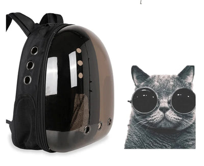 Cat Backpack