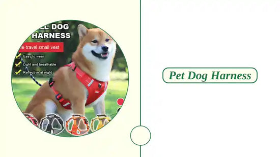 Pet Dog Harness by@Outfy