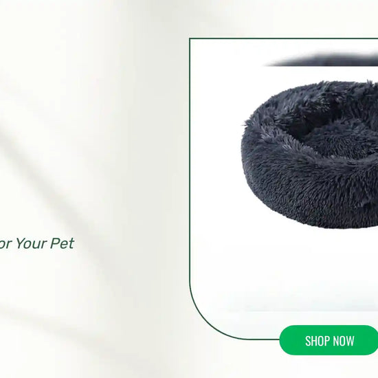 Pet Bed by@Outfy